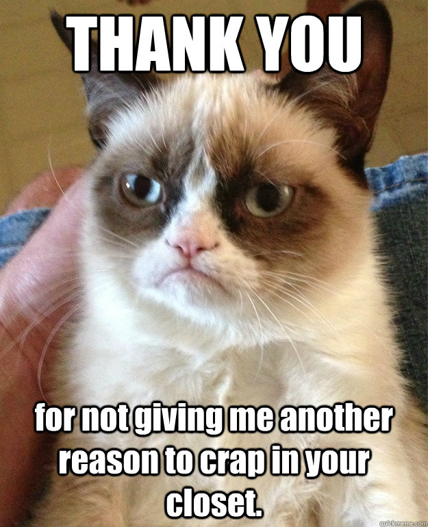 THANK YOU for not giving me another reason to crap in your closet.  Grumpy Cat