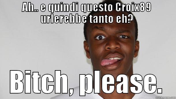 AH.. E QUINDI QUESTO CROIX89 URLEREBBE TANTO EH? BITCH, PLEASE. Misc