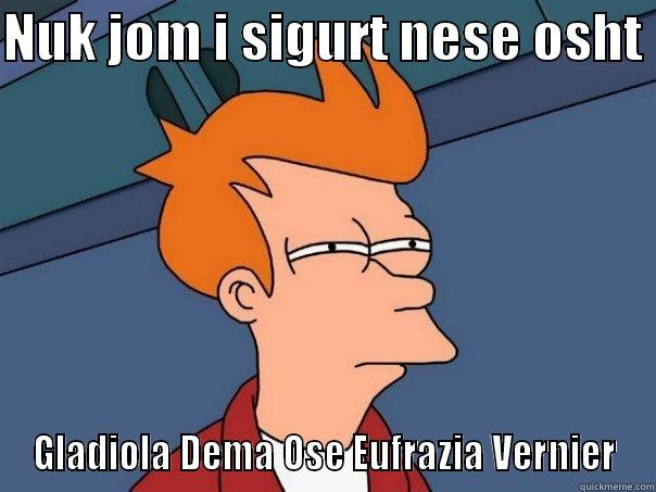 NUK JOM I SIGURT NESE OSHT  GLADIOLA DEMA OSE EUFRAZIA VERNIER Futurama Fry