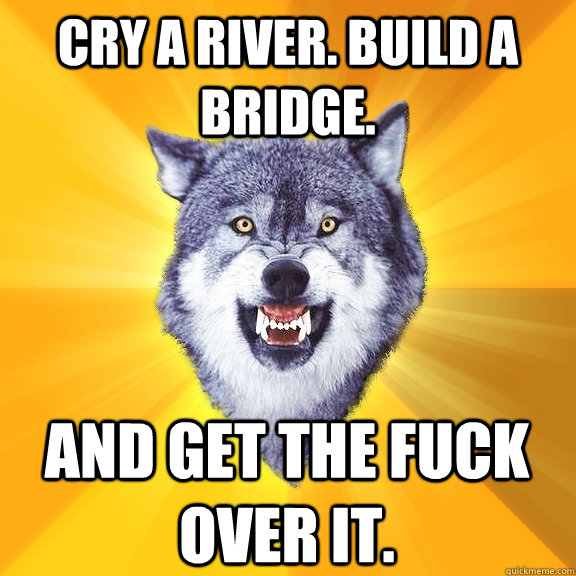 Cry a river. Build a bridge. and get the fuck over it.   Courage Wolf