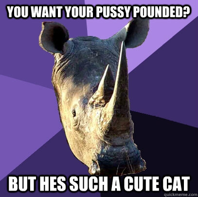 you want your pussy pounded? But hes such a cute cat  Sexually Oblivious Rhino