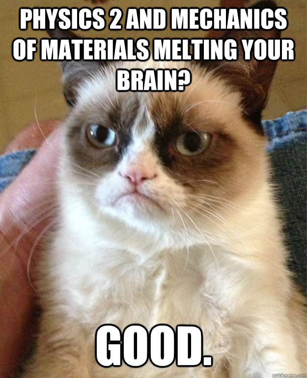 physics 2 and mechanics of materials melting your brain? Good.  Grumpy Cat