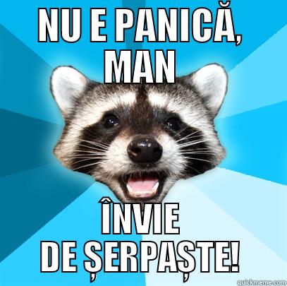 Sherpa pun lol - NU E PANICĂ, MAN ÎNVIE DE ȘERPAȘTE! Lame Pun Coon