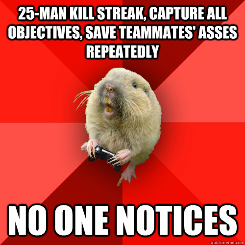 25-man kill streak, capture all objectives, save teammates' asses repeatedly No one notices  Gaming Gopher