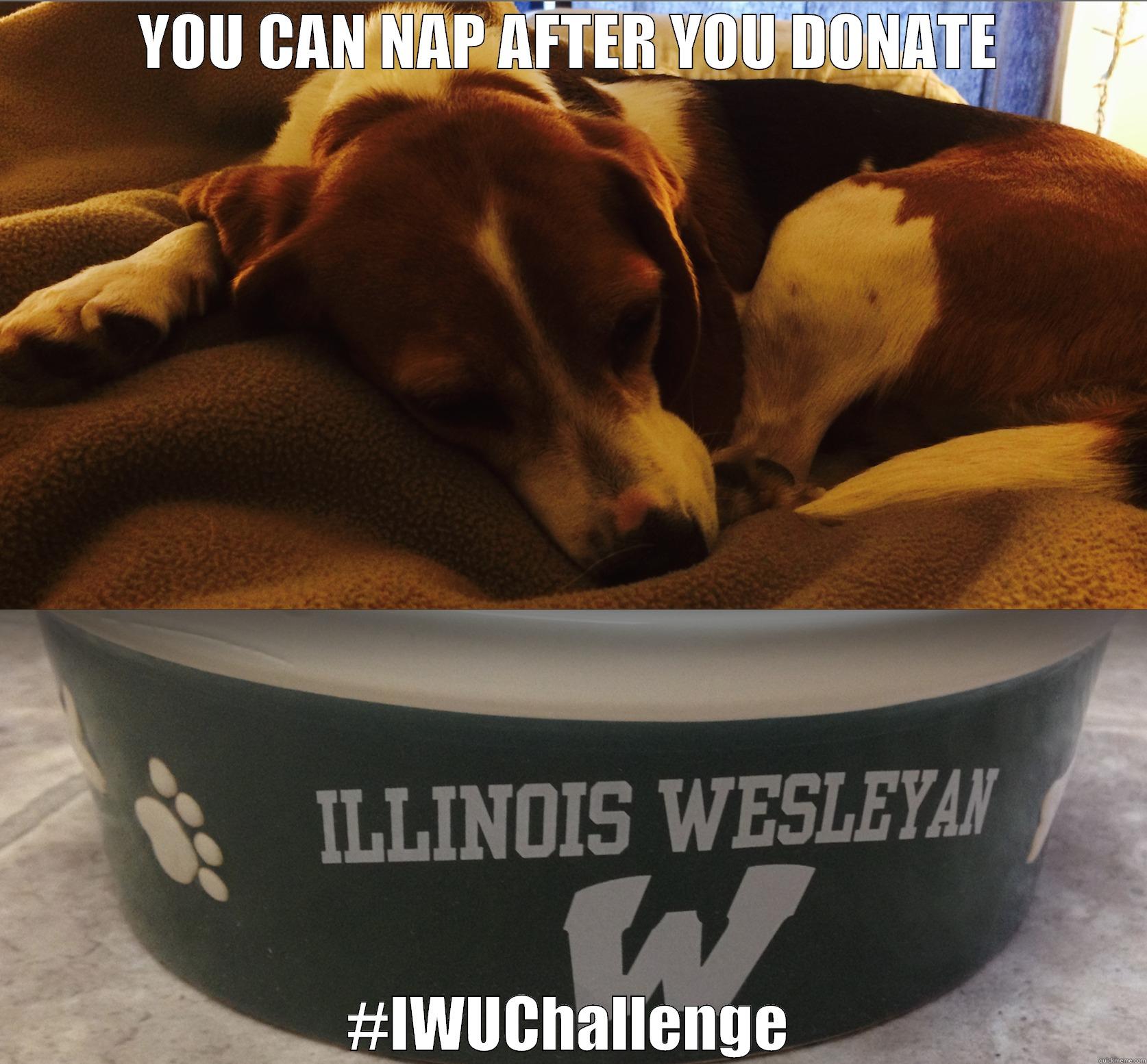 YOU CAN NAP AFTER YOU DONATE #IWUCHALLENGE Misc