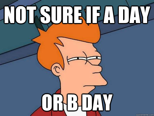 Not sure if A Day or b day  Futurama Fry