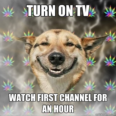 Turn on TV Watch first channel for an hour  Stoner Dog