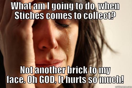 WHAT AM I GOING TO DO, WHEN STICHES COMES TO COLLECT? NOT ANOTHER BRICK TO MY FACE. OH GOD, IT HURTS SO MUCH! First World Problems