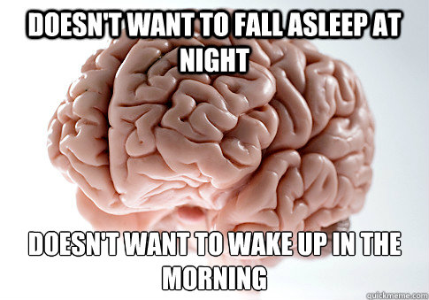 Doesn't want to fall asleep at night doesn't want to wake up in the morning   Scumbag Brain