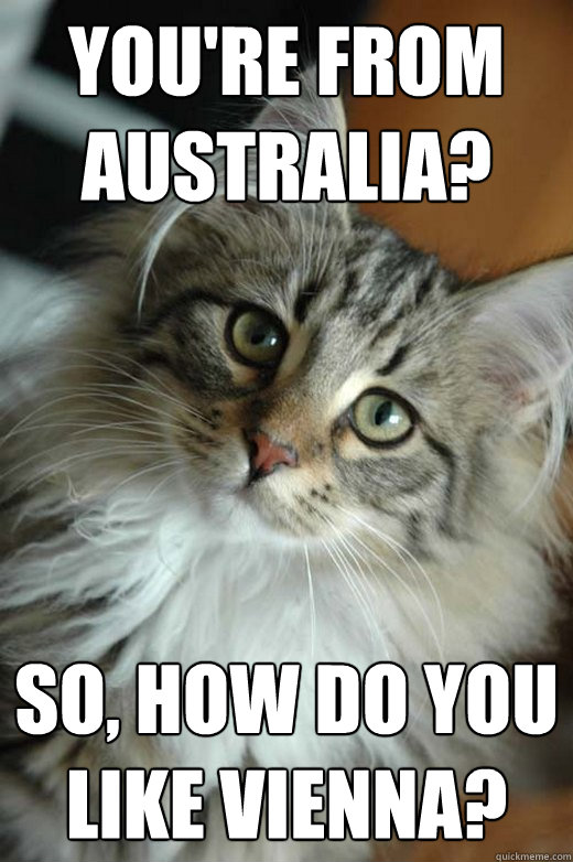 You're from Australia? So, how do you like Vienna?  