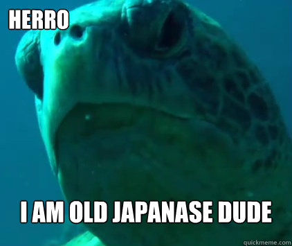 Herro I am old japanase dude  Herro