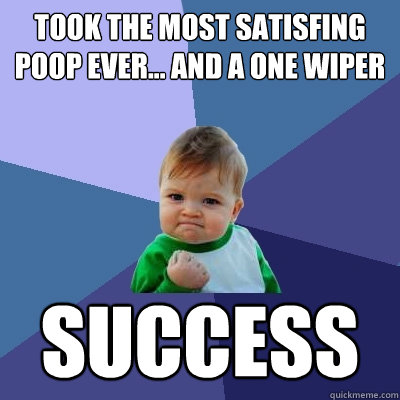 Took the most satisfing poop ever... and a one wiper  success  Success Kid