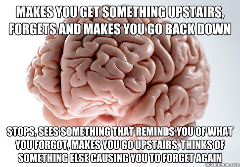 Makes you get something upstairs, forgets and makes you go back down stops, sees something that reminds you of what you forgot, makes you go upstairs, thinks of something else causing you to forget again  Scumbag Brain