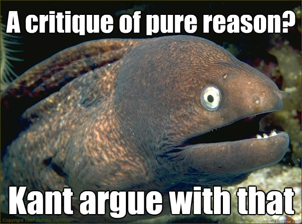 A critique of pure reason? Kant argue with that - A critique of pure reason? Kant argue with that  Bad Joke Eel