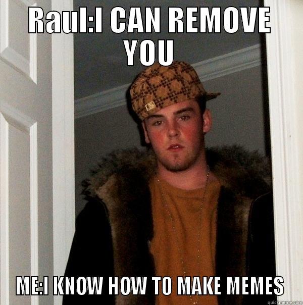 RAUL:I CAN REMOVE YOU ME:I KNOW HOW TO MAKE MEMES Scumbag Steve