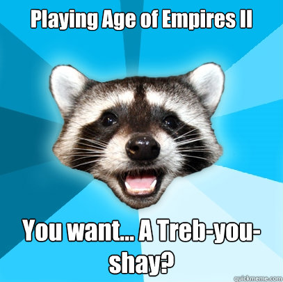 Playing Age of Empires II You want... A Treb-you-shay?  Lame Pun Coon