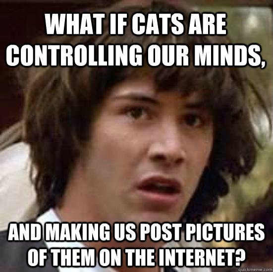 What if cats are controlling our minds, and making us post pictures of them on the internet?  conspiracy keanu