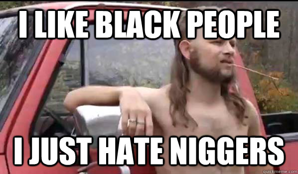 I like black people  I just hate niggers  Almost Politically Correct Redneck