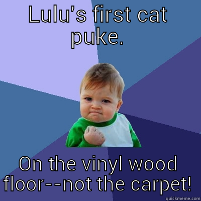 LULU'S FIRST CAT PUKE. ON THE VINYL WOOD FLOOR--NOT THE CARPET! Success Kid