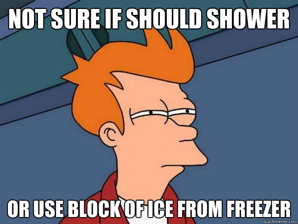 Not sure if should shower Or use block of ice from freezer  Futurama Fry