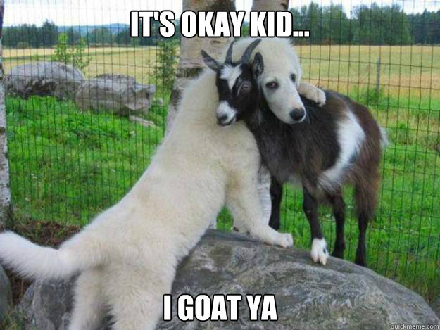 It's okay kid... I goat ya - It's okay kid... I goat ya  I Goat Ya Laddie!