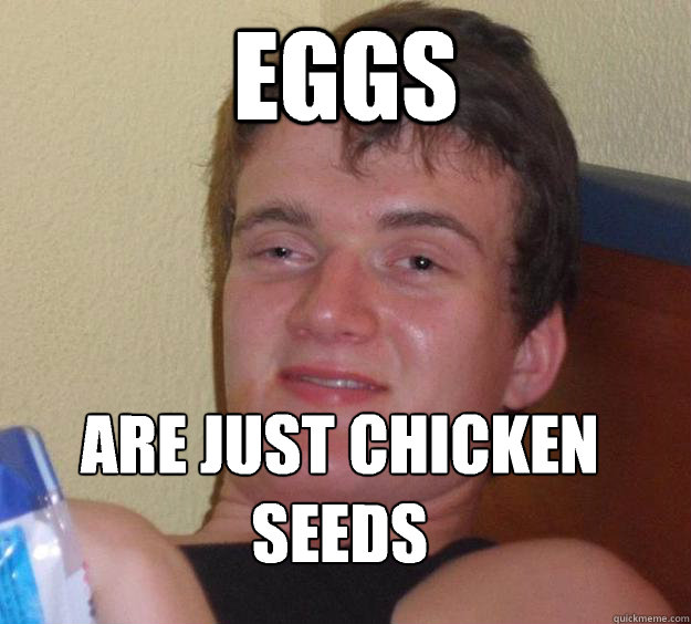 Eggs are just chicken seeds  10 Guy