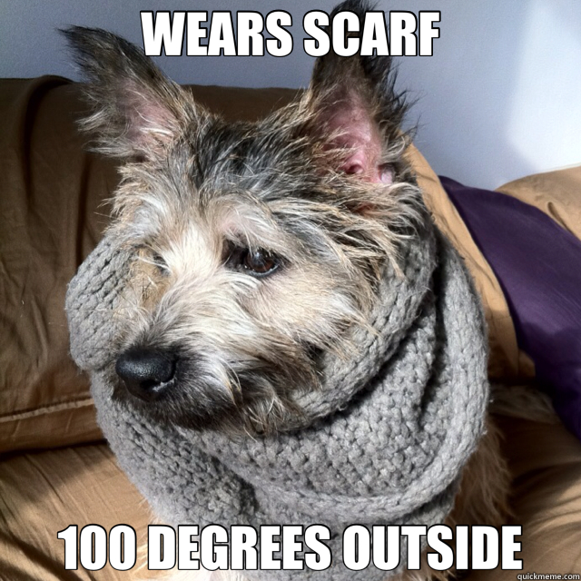 WEARS SCARF  - WEARS SCARF   Hipster Dog