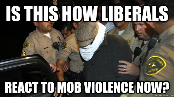 IS THIS HOW LIBERALS REACT TO MOB VIOLENCE NOW?  Defend the Constitution