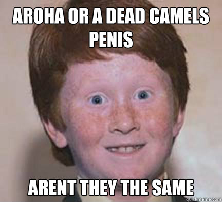 Aroha or a dead camels penis arent they the same  Over Confident Ginger