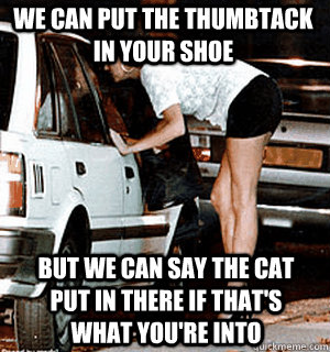 We can put the thumbtack in your shoe But we can say the cat put in there if that's what you're into  Karma Whore