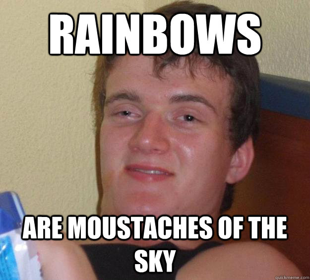 Rainbows Are moustaches of the sky  10 Guy