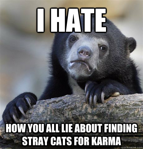 i hate how you all lie about finding stray cats for karma  Confession Bear