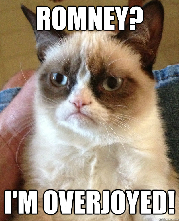 Romney? i'm overjoyed!  Grumpy Cat