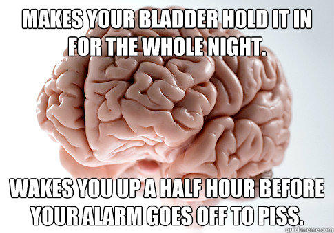 Makes your bladder hold it in for the whole night. Wakes you up a half hour before your alarm goes off to piss. - Makes your bladder hold it in for the whole night. Wakes you up a half hour before your alarm goes off to piss.  Scumbag Brain