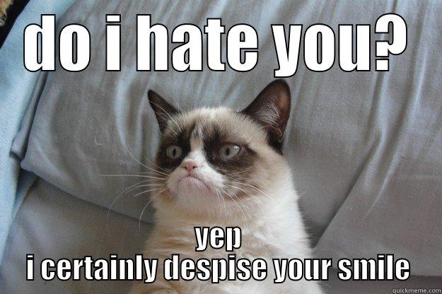 DO I HATE YOU? YEP I CERTAINLY DESPISE YOUR SMILE Grumpy Cat