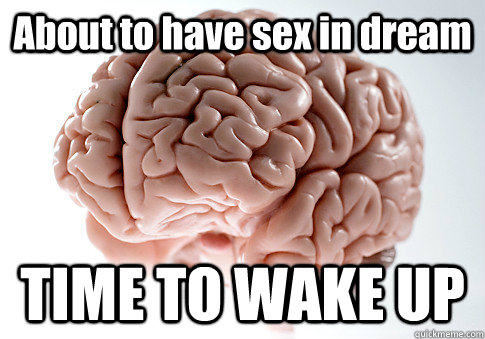 About to have sex in dream TIME TO WAKE UP  Scumbag Brain