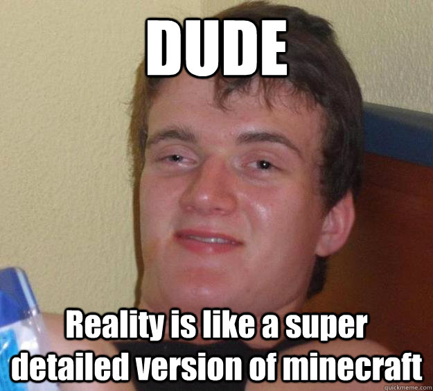 DUDE Reality is like a super detailed version of minecraft  10 Guy