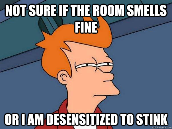 Not sure if the room smells fine Or i am desensitized to stink  Futurama Fry