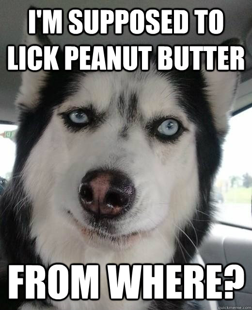 I'm supposed to lick peanut butter from where?  