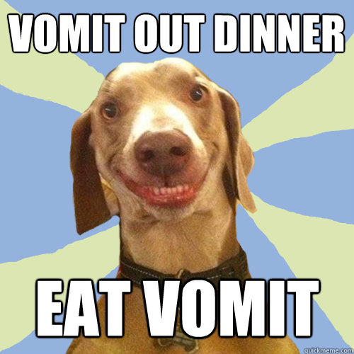 vomit out dinner eat vomit  Disgusting Doggy