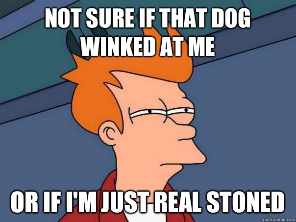 Not sure if that dog winked at me Or If I'm just real stoned - Not sure if that dog winked at me Or If I'm just real stoned  Futurama Fry