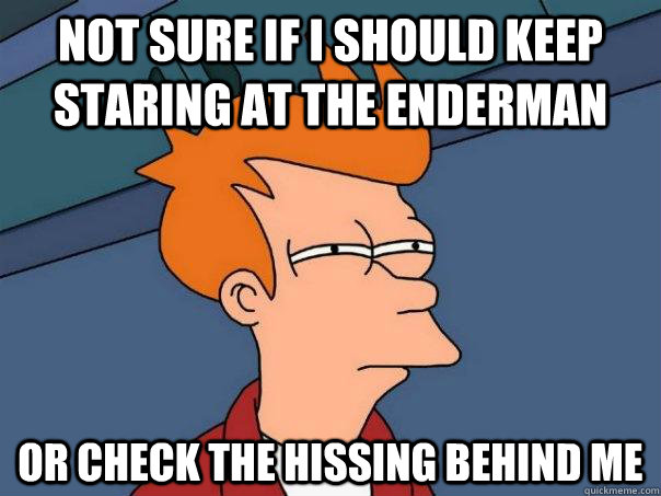 Not sure if I should keep staring at the Enderman Or check the hissing behind me  Futurama Fry