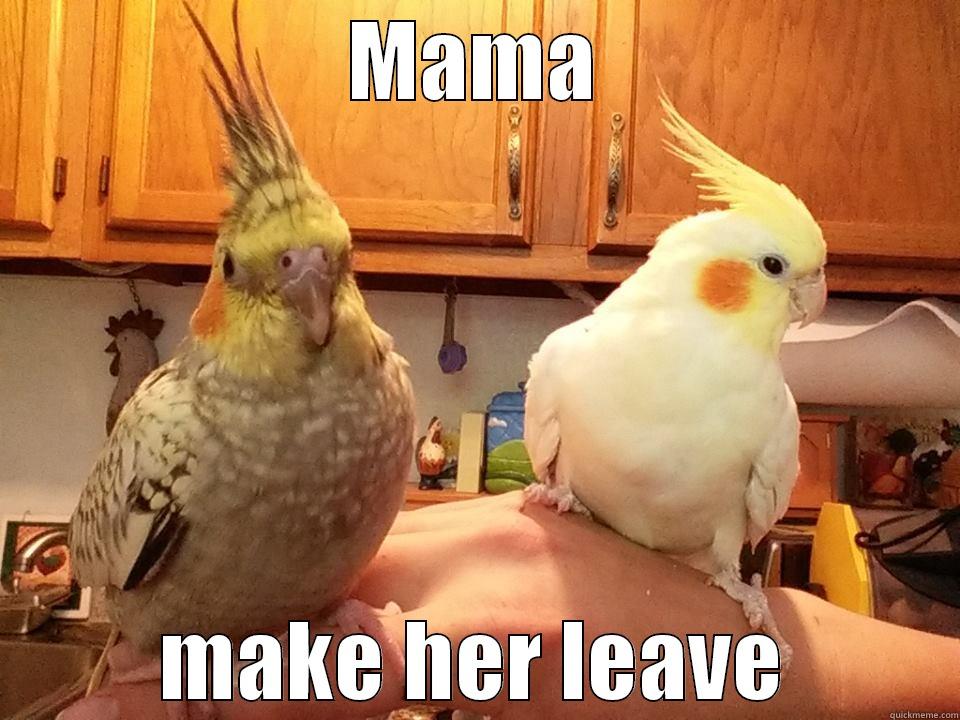 new birds - MAMA MAKE HER LEAVE Misc