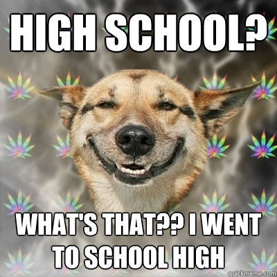 high school? What's that?? I went to school high  Stoner Dog