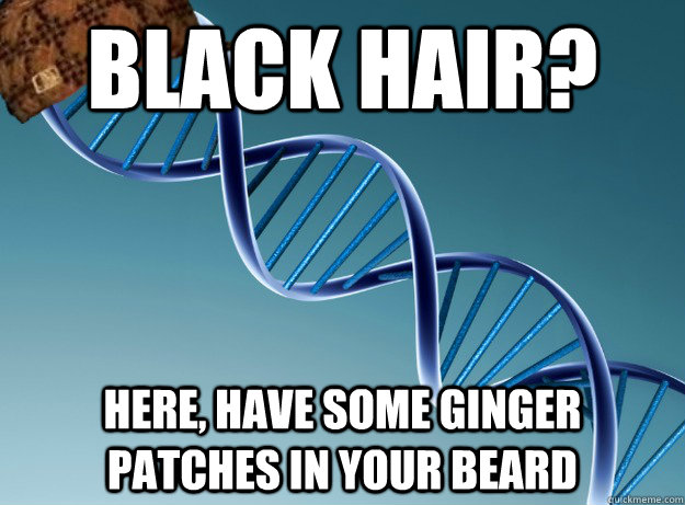 Black hair? Here, have some ginger patches in your beard  Scumbag Genetics