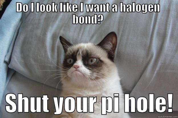 DO I LOOK LIKE I WANT A HALOGEN BOND?   SHUT YOUR PI HOLE! Grumpy Cat