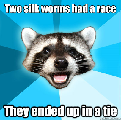 Two silk worms had a race They ended up in a tie  Lame Pun Coon