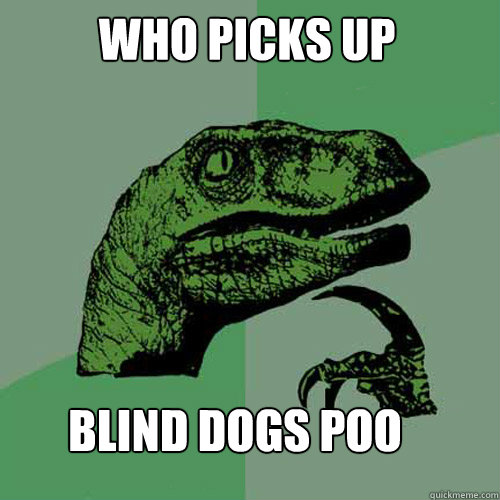 WHO PICKS UP BLIND DOGS POO  Philosoraptor