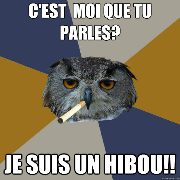 C'est à moi que tu parles? Je suis un hibou!! - C'est à moi que tu parles? Je suis un hibou!!  Art Student Owl