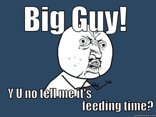 Y U No feeding time - BIG GUY! Y U NO TELL ME IT'S                                                               FEEDING TIME? Y U No